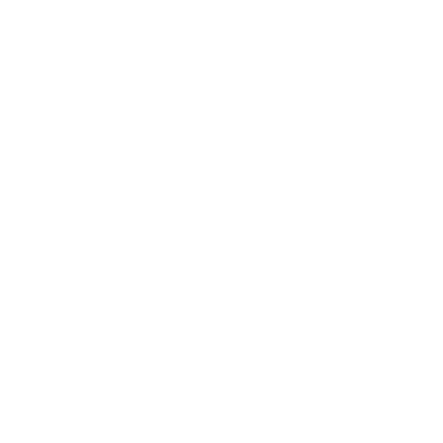 The Brass Pig | Bristol